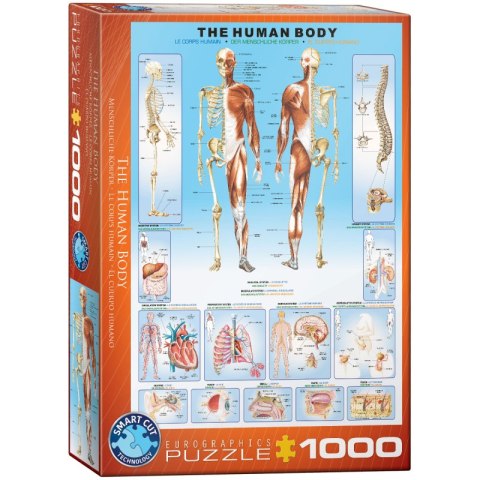 Puzzle 1000 The Human Body 6000-1000