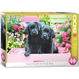 Puzzle 500 Black Labs in Pink Box 6500-5462