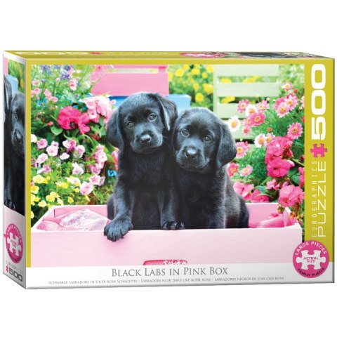 Puzzle 500 Black Labs in Pink Box 6500-5462