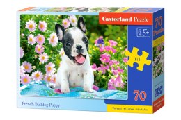 Puzzle 70 Szczenię buldoga francuskiego B-070152