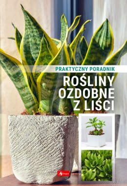 Rośliny ozdobne z liści. Poradnik praktyczny