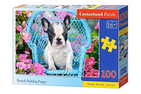 Puzzle 100 Buldog francuski szczeniak B-111152