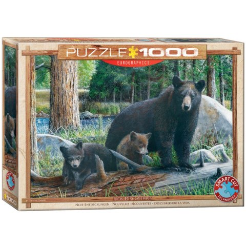 Puzzle 1000 New Discoveries by Daniel 6000-0793