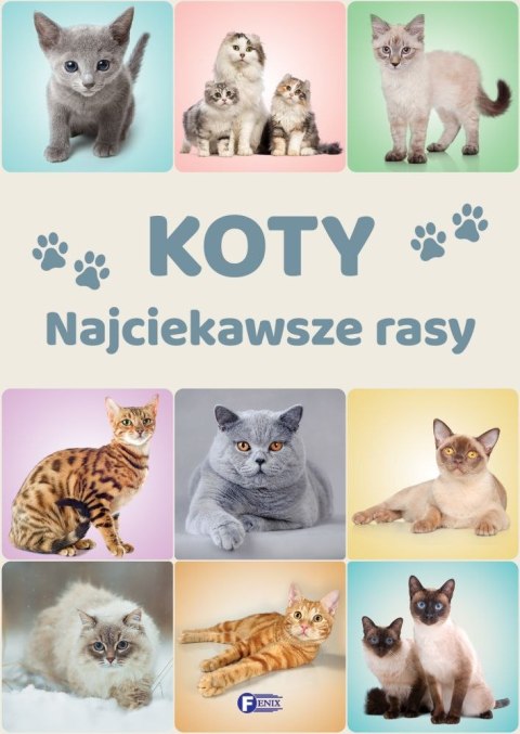 Koty. Najciekawsze rasy