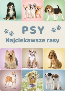 Psy. Najciekawsze rasy