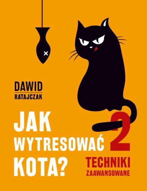 Jak wytresować kota 2 techniki zaawansowane