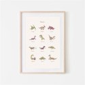 Mushie Plakat Dinosaurs - Large