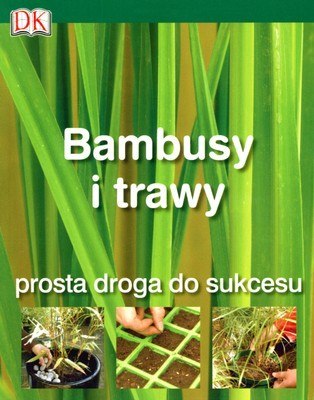 Bambusy i trawy prosta droga do sukcesu