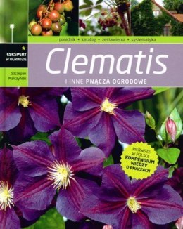 Clematis i inne pnącza ogrodowe