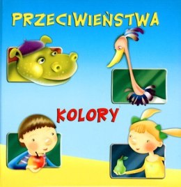 Przeciwieństwa kolory