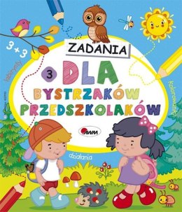 Dla bystrzaków przedszkolaków. Zadania część 3