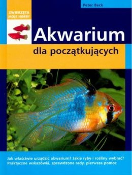 Akwarium dla początkujących