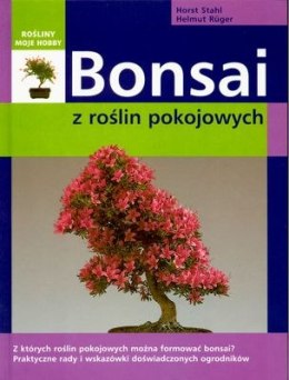 Bonsai z roślin pokojowych