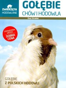 Gołębie chów i hodowla zwierzęta hodowlane