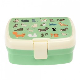 Lunchbox z tacką dla dzieci, koty, Rex London