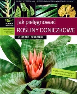 Jak pielęgnować rośliny doniczkowe choroby i szkodniki