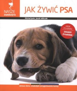 Jak żywić psa nasze zwierzęta