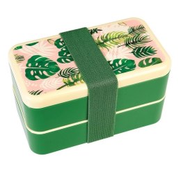 Lunchbox bento, Tropikalne palmy, Rex London