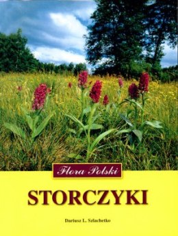 Storczyki flora polski