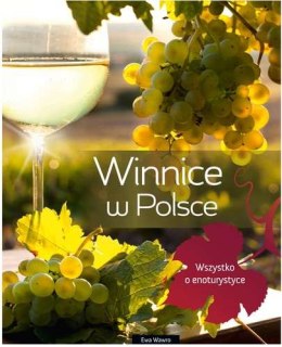 Winnice w Polsce