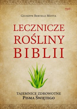 Lecznicze rośliny biblii tajemnice zdrowotne Pisma Świętego