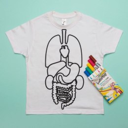 Zabawka naukowa, Koszulka do nauki anatomii i flamastry, rozmiar 116 , Koa Koa