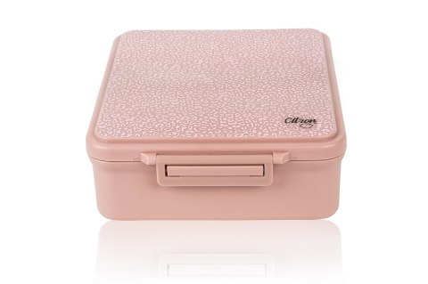 Citron Grand Lunch Box z Termosem - Leo