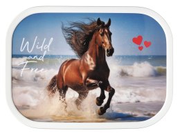 Lunchbox Campus Wild Horse 107440065401