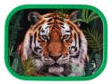 Lunchbox Campus Wild Tiger 107440065402