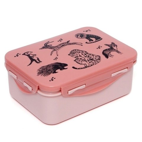 Petit Monkey - Śniadaniówka Lunchbox Desert Rose